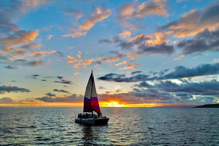 Sunset Sail and Whale Watching with Drinks from Maalaea Harbor - Photo 1 of 16